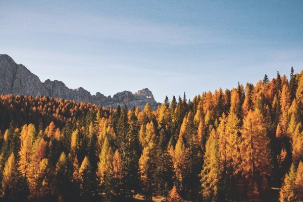 Hello September: Our Favourite Autumn Reset Picks for Every Budget